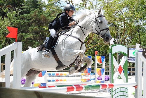 80622 8617be18 b6cd 47b7 b735 f706924c4aab cavalos 3