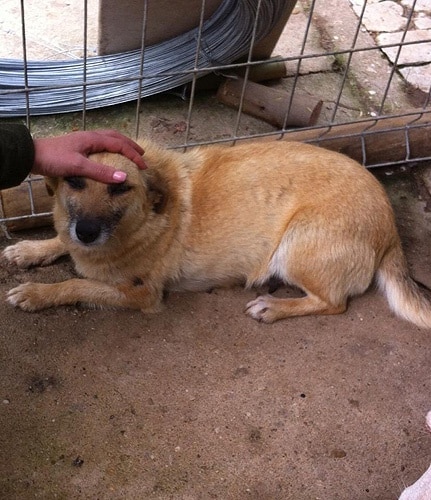 80703 94401e43 8d56 4b10 99db 1817b206a8f2 cantinho1