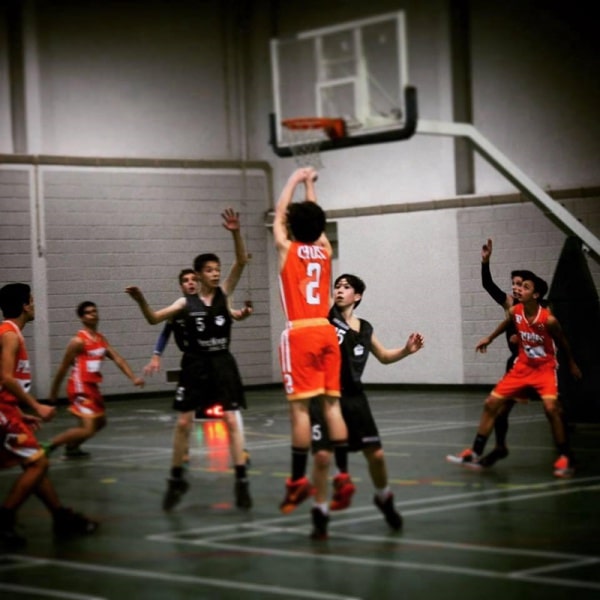 80713 7799a395 9064 4180 bea5 e2ed1c668245 basket