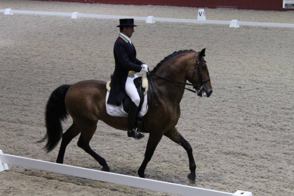 80717 ec746f51 0119 4f02 a8ed a363d3e5d4ae ceia