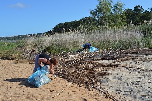 80754 a46673d1 968b 43e1 a311 abd7976ef588 limpeza1