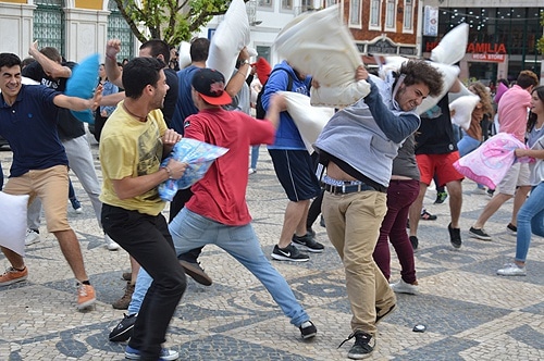 80796 4f110366 94b9 447b 9b64 e461b6fb1f1a almo1