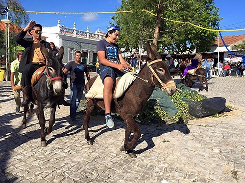 80940 b1e63490 6d6b 419b ae84 7050abbbffea burros1