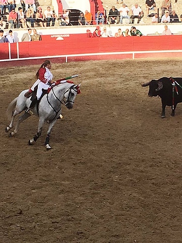 80972 a343f6f3 0438 4cea a7e4 5a3339d82e49 touros