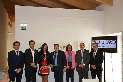 81111 345ba8c5 47b7 400b 9403 8ceb4f32d80c acccro 1