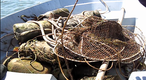 81128 488a76fe 16cb 4074 8c3e 660fa4108bdb enguias 81128 488a76fe 16cb 4074 8c3e 660fa4108bdb enguias