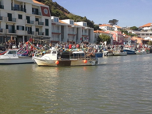 81134-fda35f81-9af0-4a8b-ab2e-ca2d2a701902-martinho