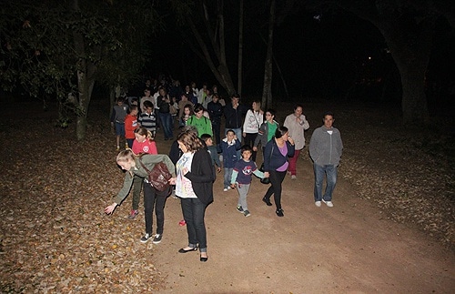 81135 fe608cbf 10d2 453e 8af4 5e59afd7bc19 pirilampos