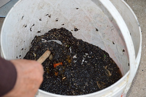 81209 2eedf251 2d2f 4b9e 8762 70e6f4c0405c moscas 81209 2eedf251 2d2f 4b9e 8762 70e6f4c0405c moscas