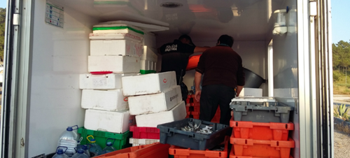 81276 7cb60c45 cfda 43e7 8713 d717a9d8cae4 polvo 81276 7cb60c45 cfda 43e7 8713 d717a9d8cae4 polvo