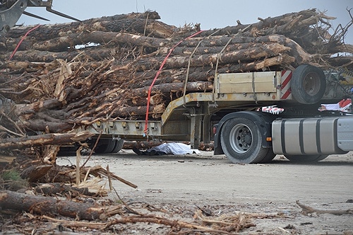 81279 bdfda29f 929d 4279 a391 78d282645f61 motorista1 81279 bdfda29f 929d 4279 a391 78d282645f61 motorista1