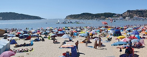 81291 5fa39e23 cd63 4fb3 8433 578db5098766 martinho