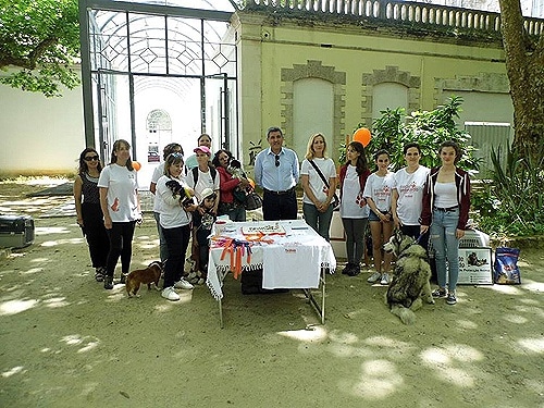 81308 5d373e87 f908 4c61 a15b 7439176130e3 aniversario1