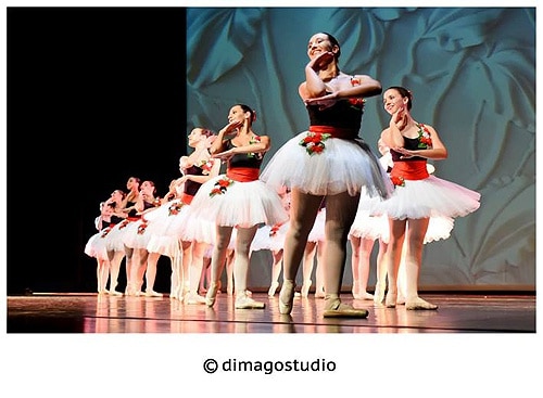 81360 f2494c09 78dc 49ea 9565 0de59a704465 danca 1