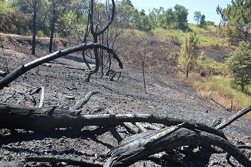 82511 e32a21e9 8276 4548 8b2a 511409d74584 incendio