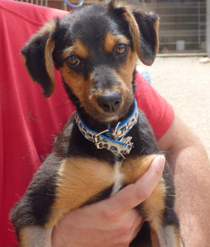 82557-97eff04a-0b43-4970-9858-df6cc60e42ad-apac