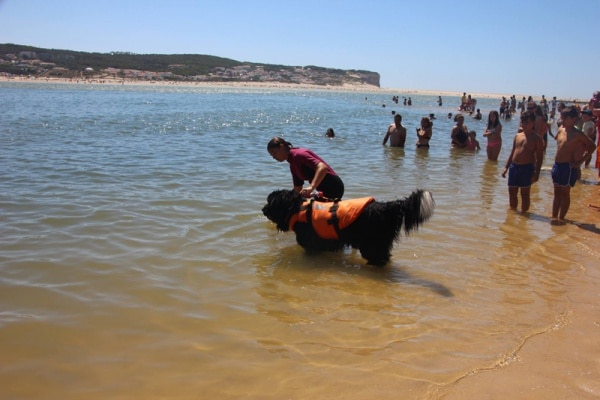 82587 05c4ce5f ddbc 4262 bcdf fc28240d5f5c caes1