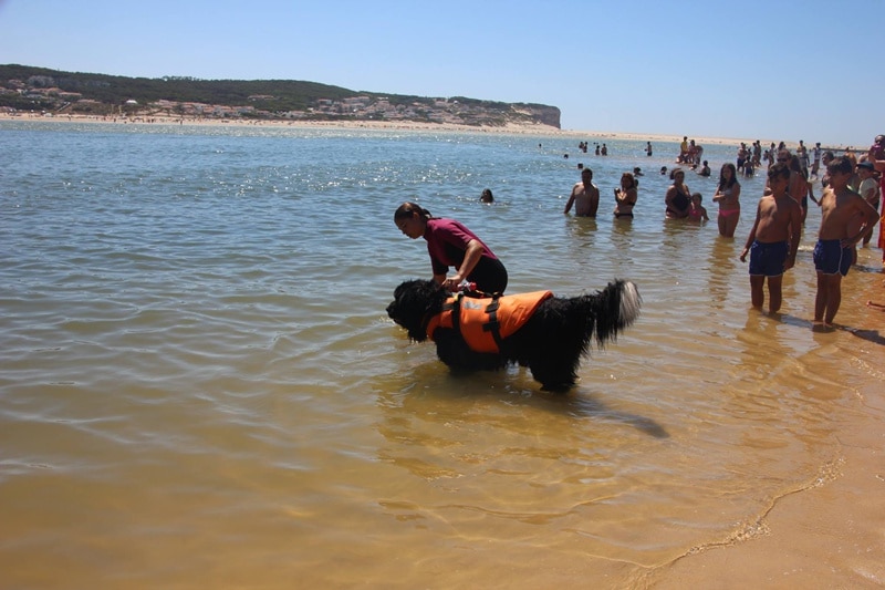 82587-05c4ce5f-ddbc-4262-bcdf-fc28240d5f5c-caes1