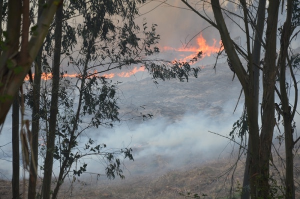 82588 342100b0 4c58 41e2 a008 8b0b8d84a26a incendios1