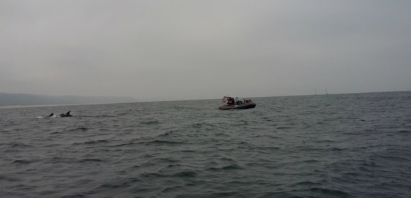 82589 b04b7bea 9c67 4926 9fc4 2bf3a91a47e2 maritima