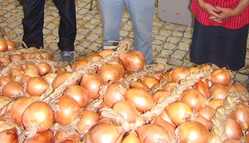 82631-4b2817d3-71d2-444c-946e-3810e5200042-cebola