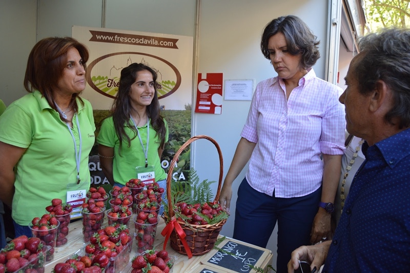 82633-d9cb7a8b-2c3c-4616-b4bb-4c59af3728c6-assuno