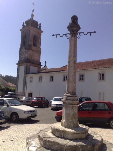 82641 56e76680 f1a3 4078 b618 c903c434701e catarina