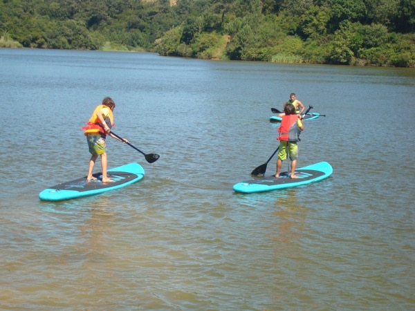 82656 d181c64f 8fe7 40cf 87d6 199231ac6c07 atividades1 82656 d181c64f 8fe7 40cf 87d6 199231ac6c07 atividades1