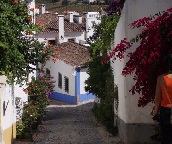 82658 70fca0b8 3f63 41cc 8886 3ff6b1b6958b moscas 82658 70fca0b8 3f63 41cc 8886 3ff6b1b6958b moscas