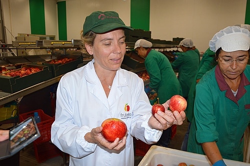 82684 e71b47ea ae72 4c27 90fd 0d2906c22625 pomares 1 82684 e71b47ea ae72 4c27 90fd 0d2906c22625 pomares 1