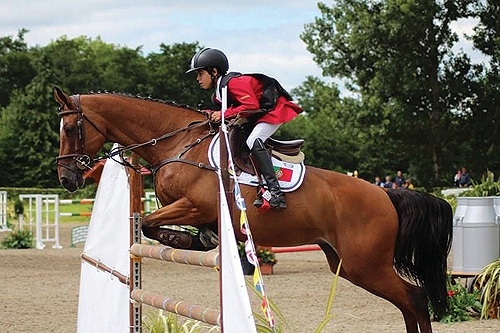 82701 62f23d4d e184 4e2b a42c 46e31a589834 francisco