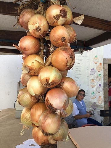 82712 56950dd8 552c 47c6 968a 4ffa905b5d02 cebolas 82712 56950dd8 552c 47c6 968a 4ffa905b5d02 cebolas