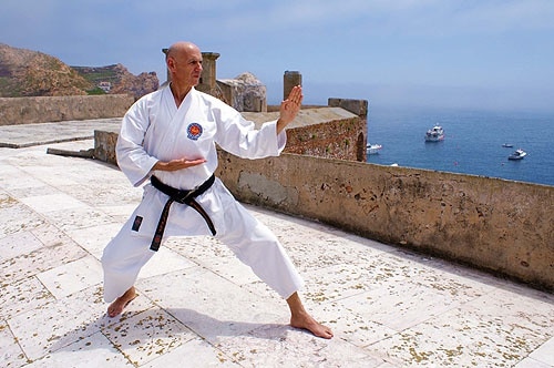 82836 dd8a33cb 38c8 4bb1 aefa 68792d2129ac karate