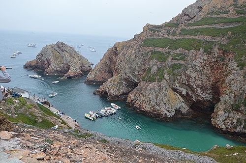 82853 44871edb d7a7 4c44 84f5 328326406cfa verdes 82853 44871edb d7a7 4c44 84f5 328326406cfa verdes