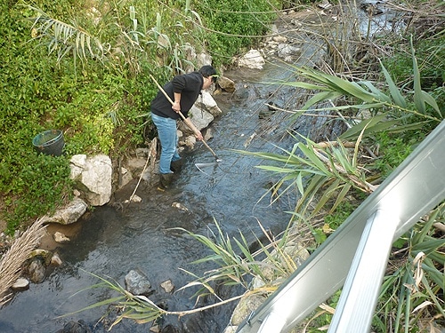 82886 53413be5 ee1d 4253 91fa 4e85f24a28aa rio