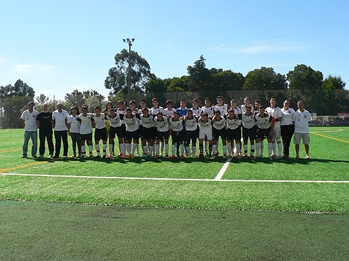 82893-7021711d-dcaf-4f7a-a7cf-8e03b332fd37-juvenis