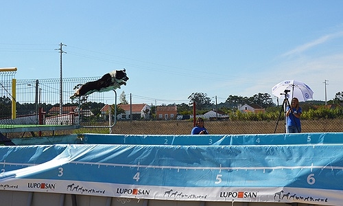 82899 d46d0b00 340b 4a99 bd31 caf86e9afa48 saltos1