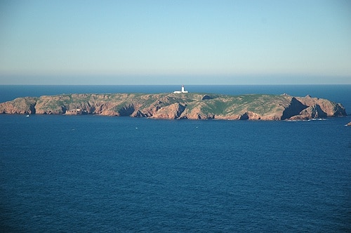 82929 4ddbf63d 464c 4934 b716 4dc4031bb4f4 verdes