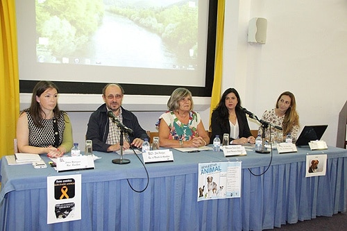 82933 a95ea373 6a90 4f92 802b a04fd820b1c5 animal