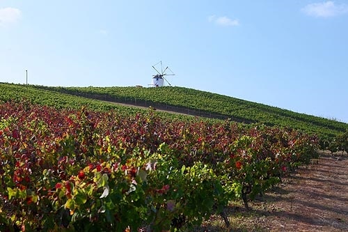 83994 97cebde3 f3be 48a5 8dd5 76e3e375f76f leves