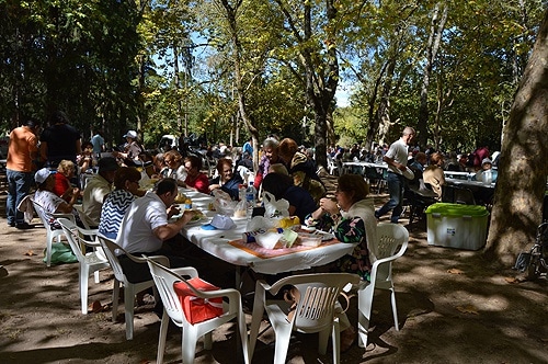 84097 c68c5ff1 e758 46df aff6 146c3d727a27 idosos1