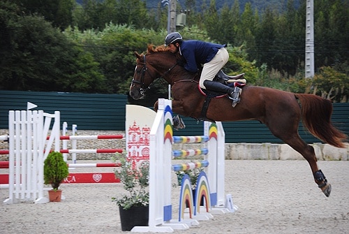 84104 61192ec0 f110 4b52 a910 2fd4e0196a11 ceia