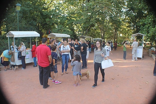 84177 b456911f 3323 4206 b44c 91b982ef2823 patas 84177 b456911f 3323 4206 b44c 91b982ef2823 patas