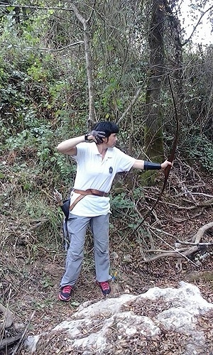 84186-f6a088e3-846d-4320-ac12-8c4e2c35b742-arco1