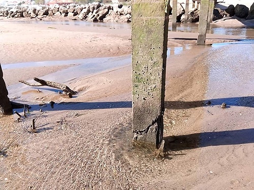 84222 e948aaa4 118f 4a80 9b15 6f0c66b9d284 toma 84222 e948aaa4 118f 4a80 9b15 6f0c66b9d284 toma