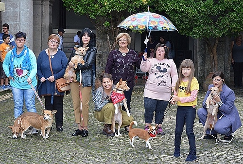 84234 d9a2966c 5d62 4c28 bd89 c642bde6a10e moda1