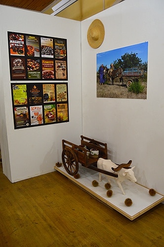 84244 25a70b4d d9a5 402d bded 7e242ca3be43 magusto 1