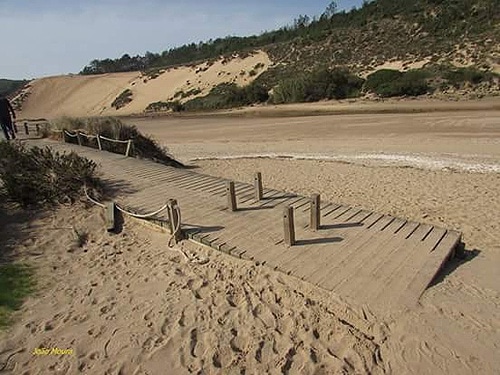 84307 95a0fa52 722d 4fa9 b74c c6b0872748b4 toma 84307 95a0fa52 722d 4fa9 b74c c6b0872748b4 toma