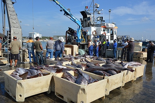 84310 aba6c97f 6230 4956 95cd df6fb4809aa1 corvinas1 84310 aba6c97f 6230 4956 95cd df6fb4809aa1 corvinas1