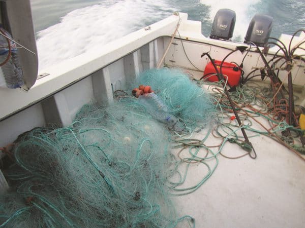 84375 73b7cc21 616f 4ed9 a126 06d69cf88b51 redes